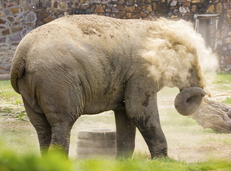 wildlife-photography-telephoto-lens-04.jpg Super-telephoto wildlife photography