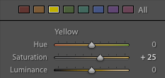 The settings of an HSL slider in Lightroom for a hockey image